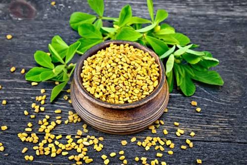 Bockshornklee Bockshornklee