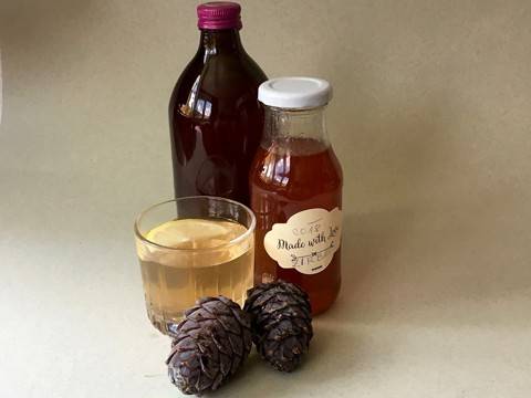 Zirbensirup Rezept - ichkoche.de Zirbensirup Rezept - ichkoche.de