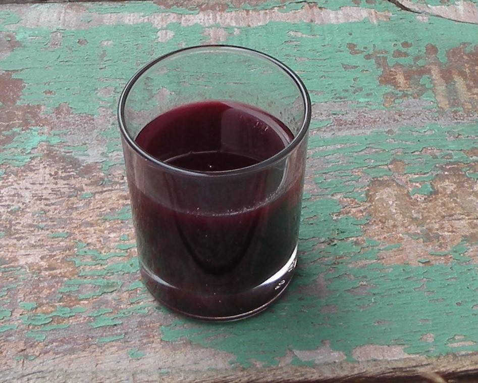 Schlehen-Sirup
