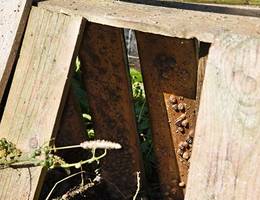 Die Schnecken verstecken sich im Schatten ihrer Holzlatten. Die Schnecken verstecken sich im Schatten ihrer Holzlatten.