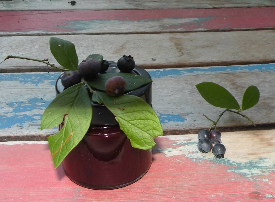 Heidelbeergelee mit Rum