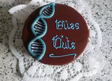 Vorzügliche Schokoladentorte Vorzügliche Schokoladentorte