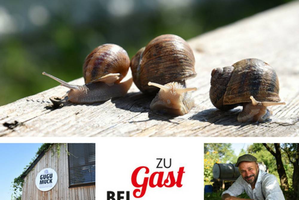 Zu Gast bei Gugumuck Zu Gast bei Gugumuck