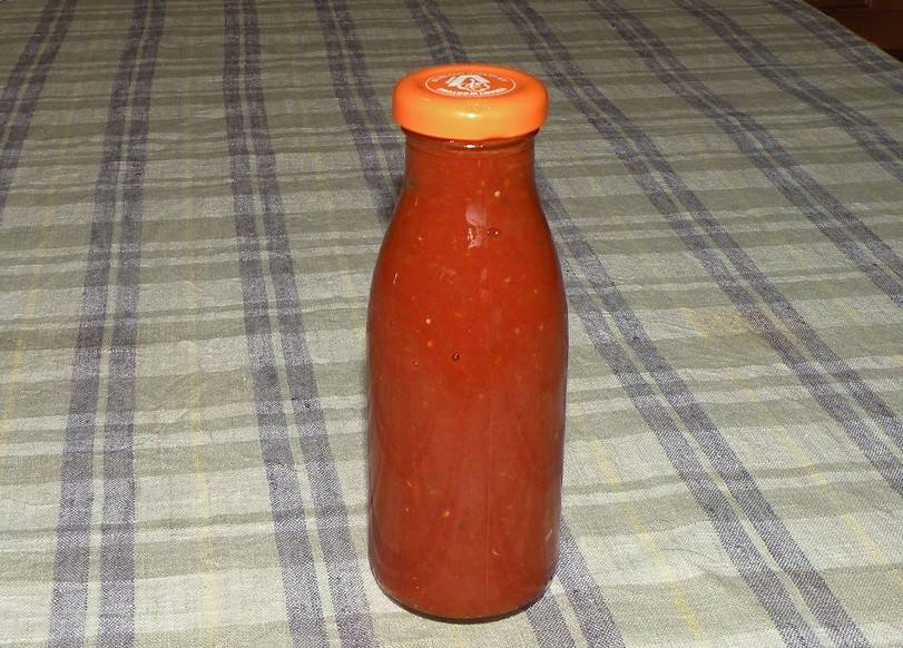 Hausgemachter Ketchup