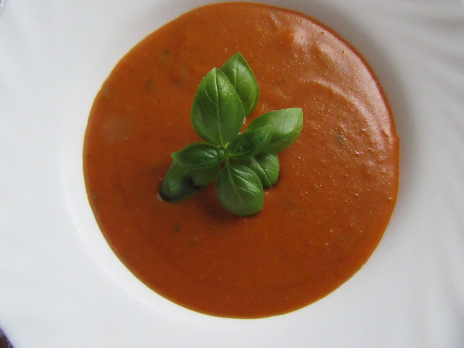 Dicke Tomatensuppe Rezept - ichkoche.de