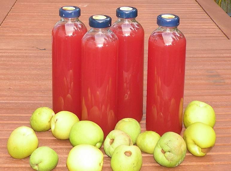 Quittenlikör mit Kirsch