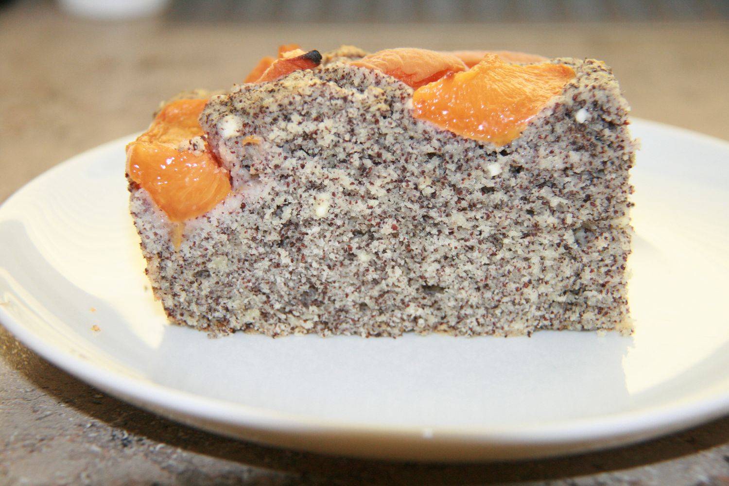 topfen-mohn-marillenkuchen-rezept-ichkoche-at