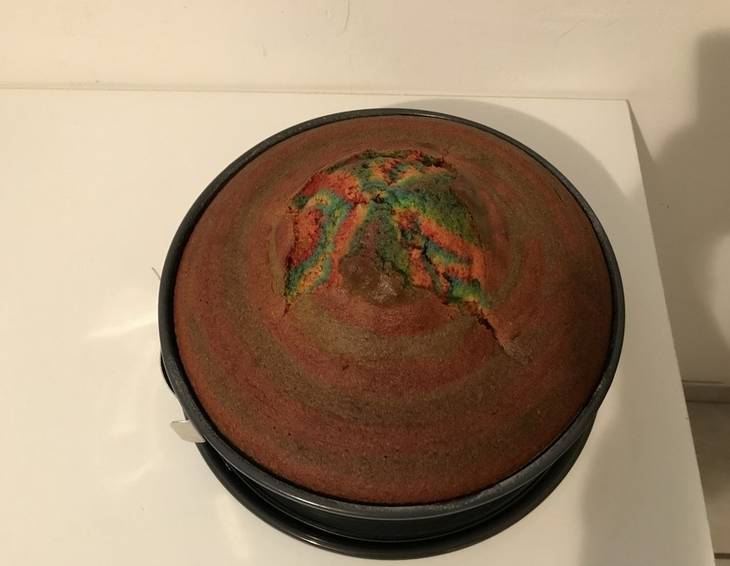 Papageien Kuchen Papageien Kuchen