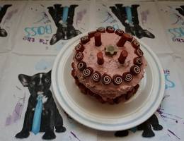 Rocky's Geburtstagstorte Rocky's Geburtstagstorte