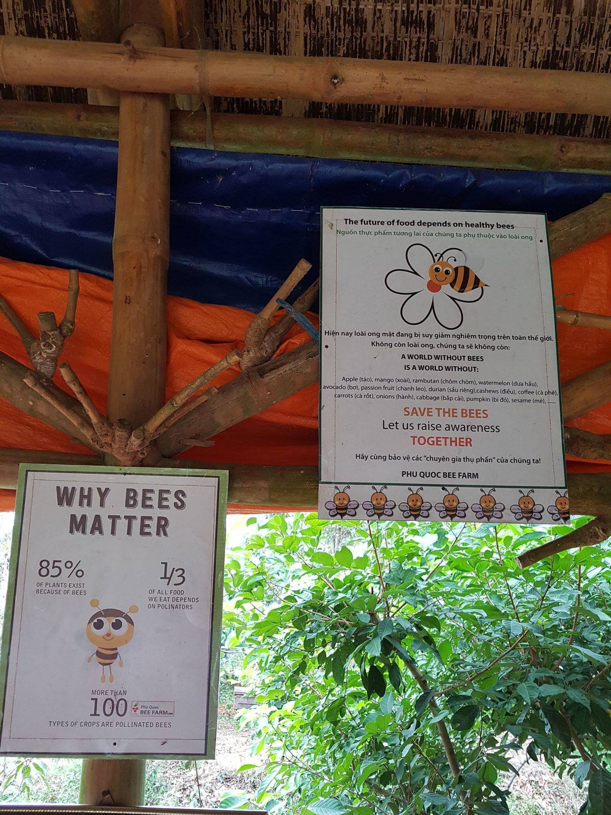 Safe the bees ???