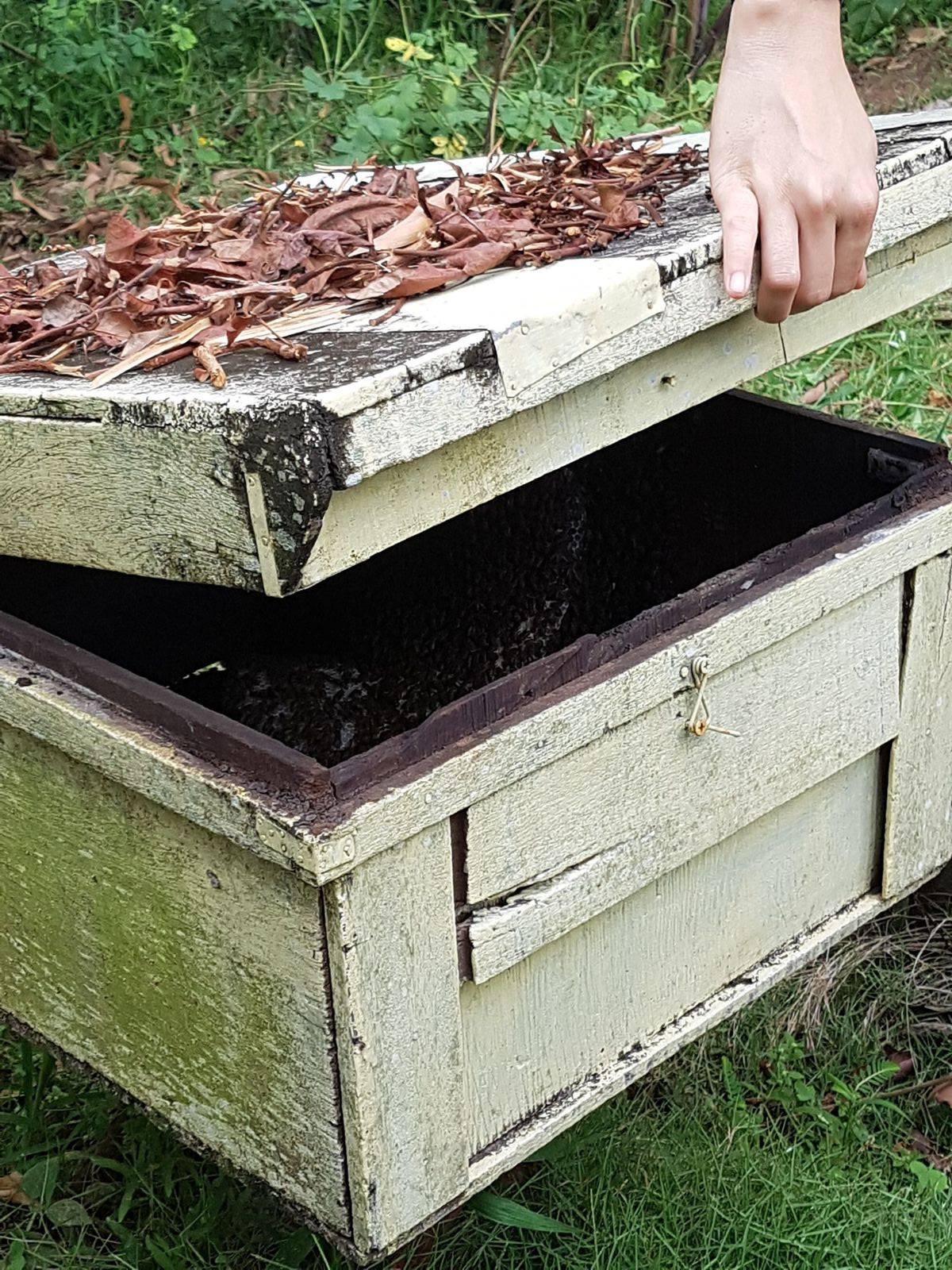 Da drinnen ist der Bienenstock ?