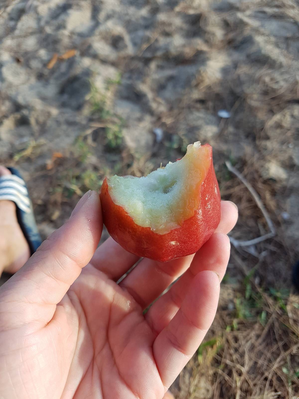 Schmeckt irgendwie fad!