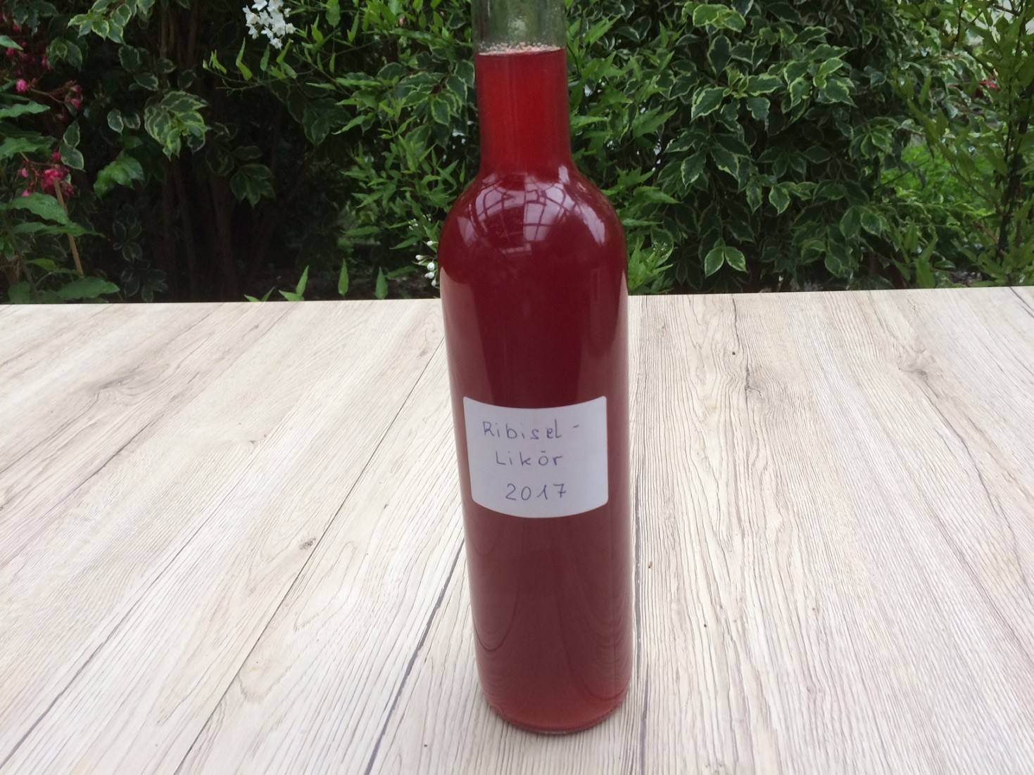 Ribisel-Likör Rezept - ichkoche.de Ribisel-Likör Rezept - ichkoche.de