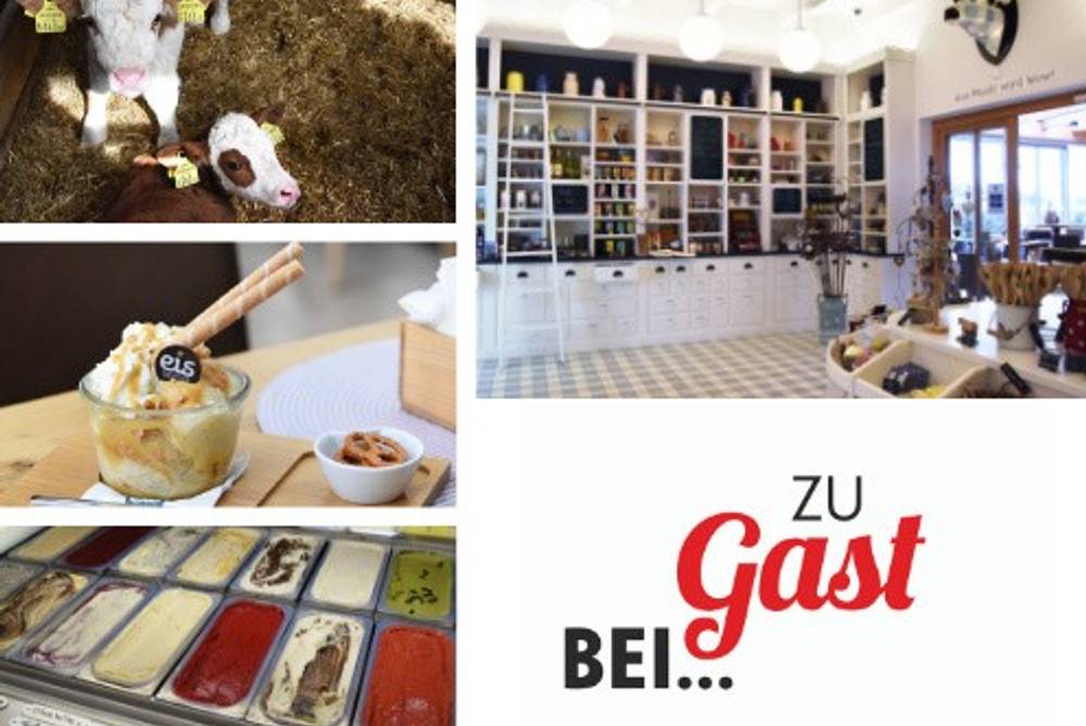 Zu Gast beim Eis Greissler Zu Gast beim Eis Greissler