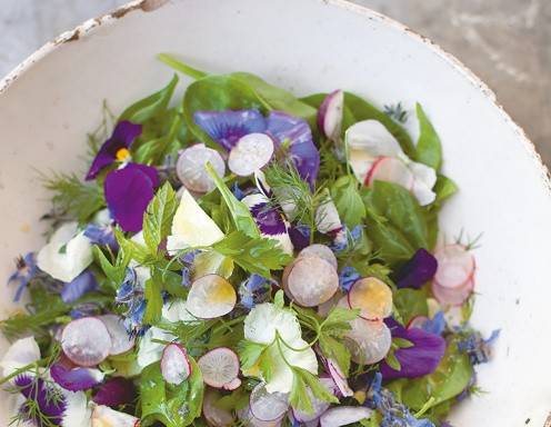 Persischer Salat Rezept