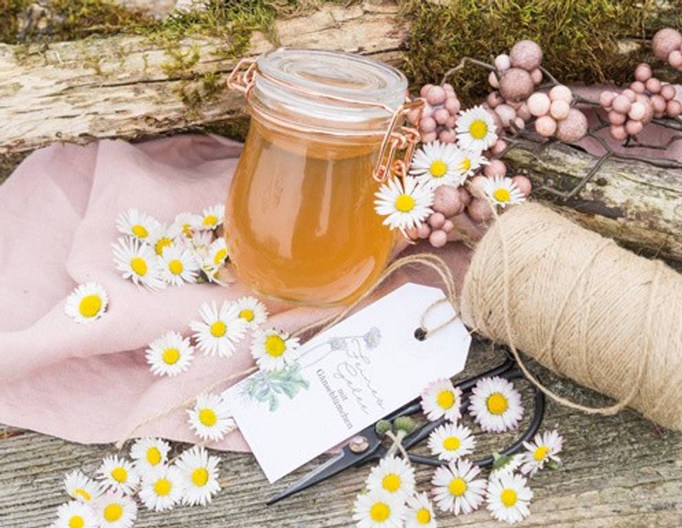 Gänseblümchengelee Gänseblümchengelee