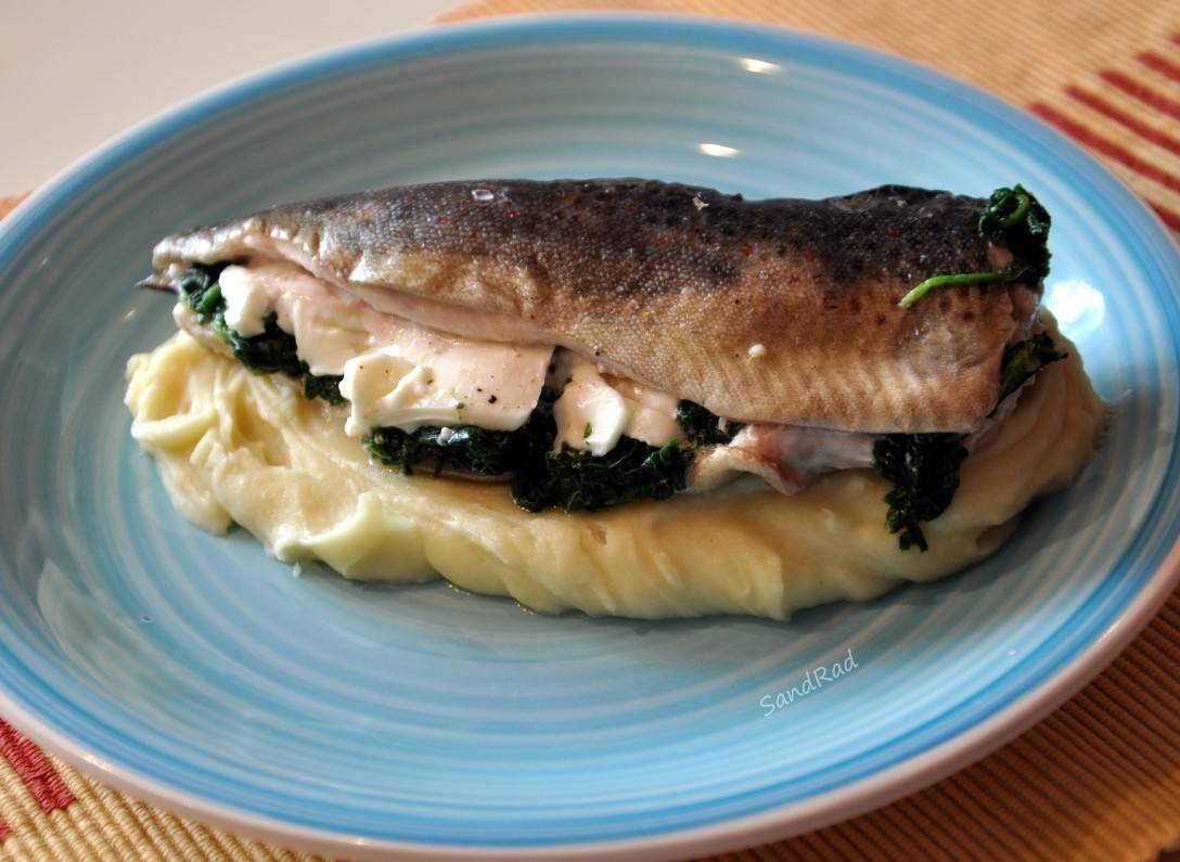 Gefüllte Forelle mit Erdäpfelpüree Rezept - ichkoche.de