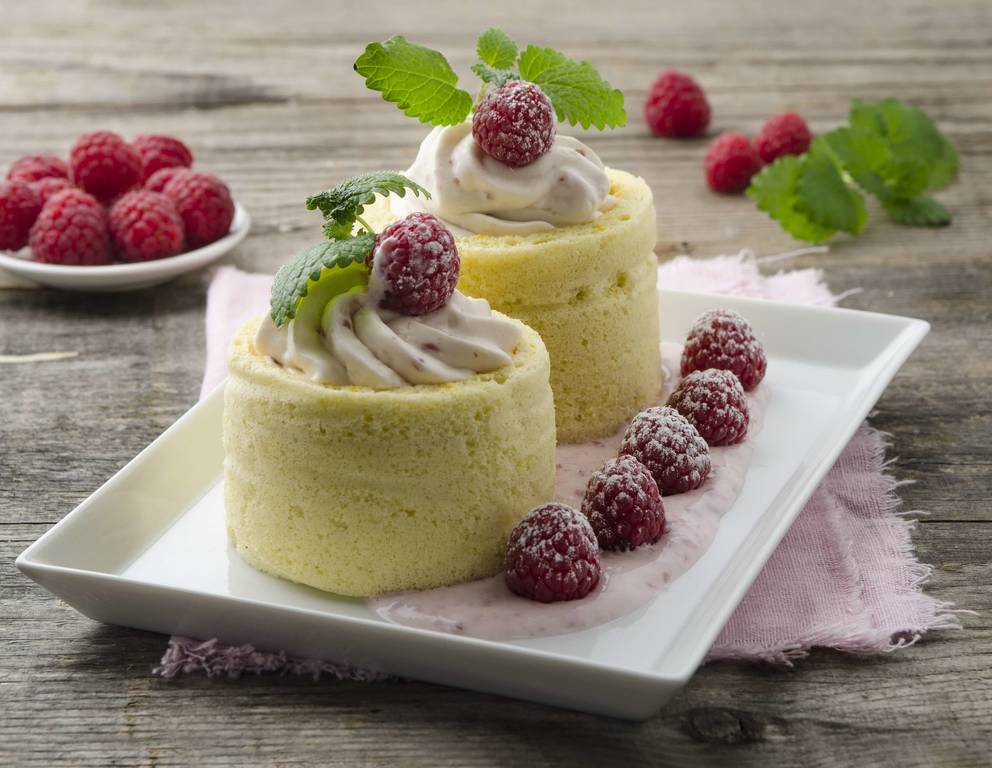 Joghurtterrine im Biskuitmantel Joghurtterrine im Biskuitmantel