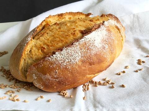Apulisches Weizenbrot Rezept - ichkoche.de