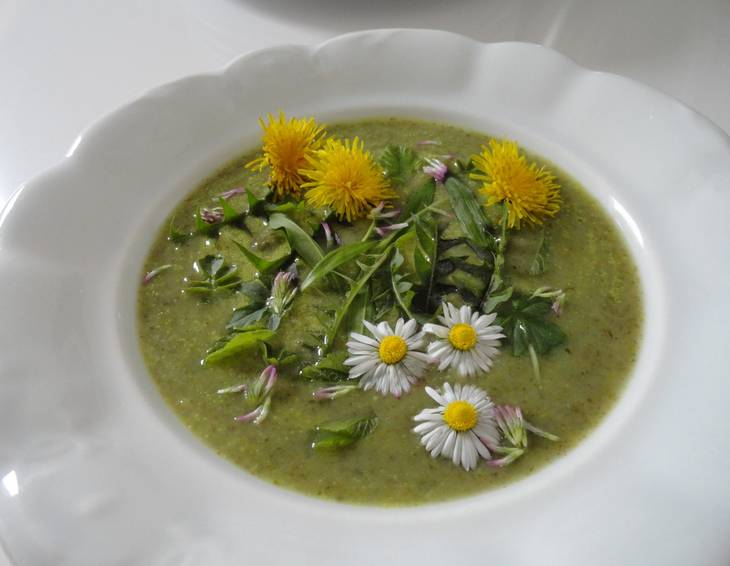 Die Neunkräuter-Suppe Die Neunkräuter-Suppe