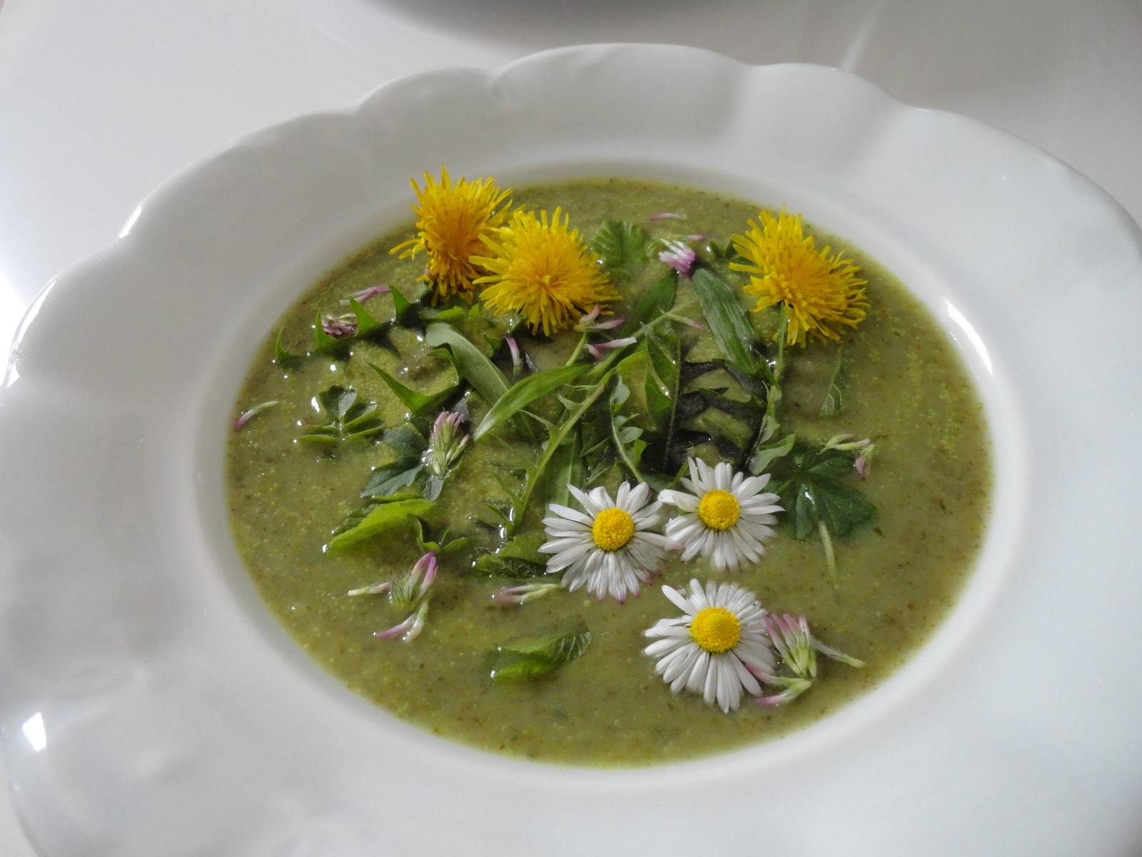 Die Neunkräuter-Suppe Rezept - ichkoche.ch Die Neunkräuter-Suppe Rezept - ichkoche.ch