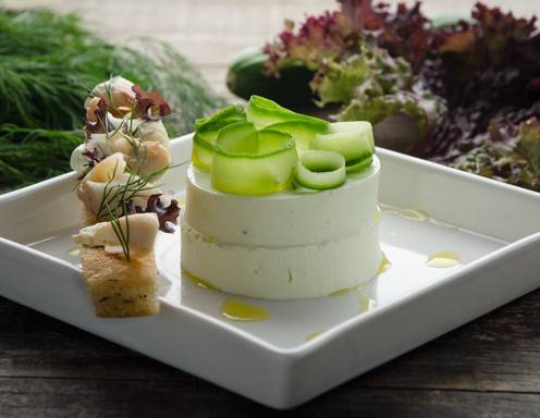 Gurken-Joghurt-Panna Cotta mit Räuchersaibling Rezept