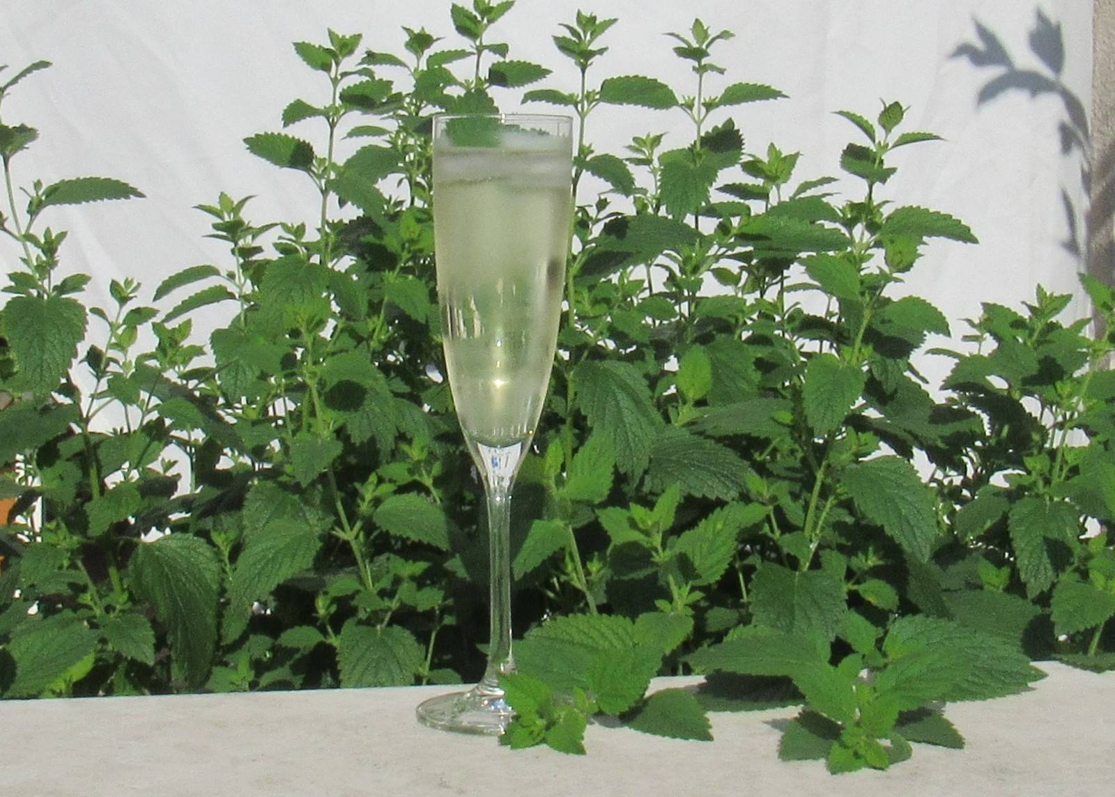 Vert De Vert Rezept ichkoche.de