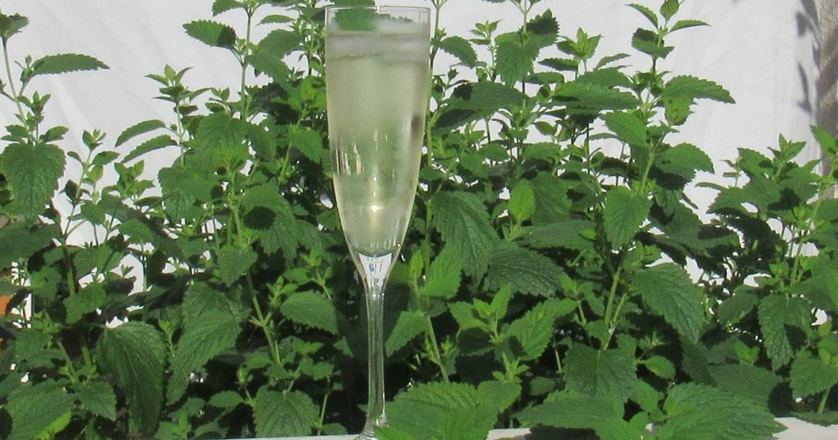 Vert De Vert Rezept ichkoche.de