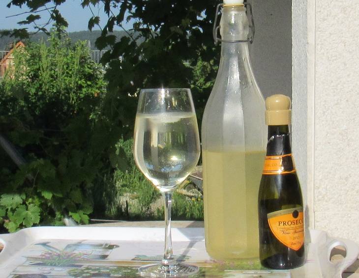 Holunderblütensirup mit Sekt Holunderblütensirup mit Sekt