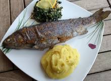 Forelle an Blattspinat und Kartoffel-Kichererbsen Püree Forelle an Blattspinat und Kartoffel-Kichererbsen Püree