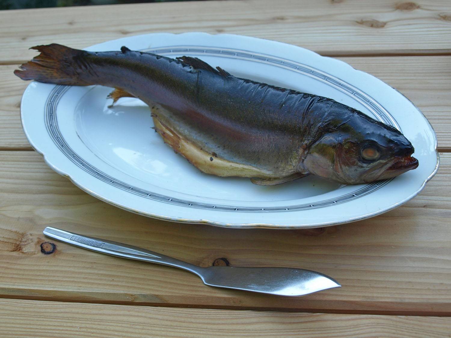 Heiß geräucherte Forelle aus dem Smoker