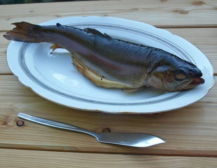 Heiß geräucherte Forelle aus dem Smoker Heiß geräucherte Forelle aus dem Smoker