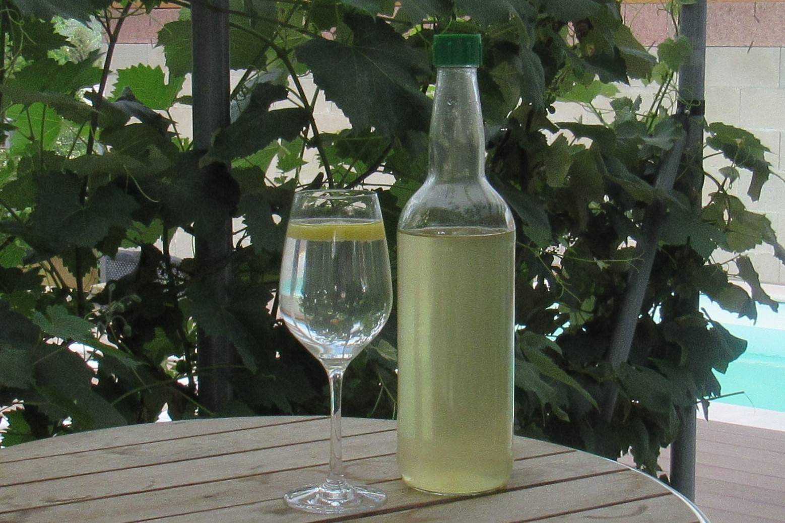 Holunderblütensaft Rezept - ichkoche.at