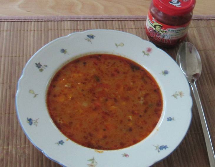 Piroschkas Gulaschsuppe