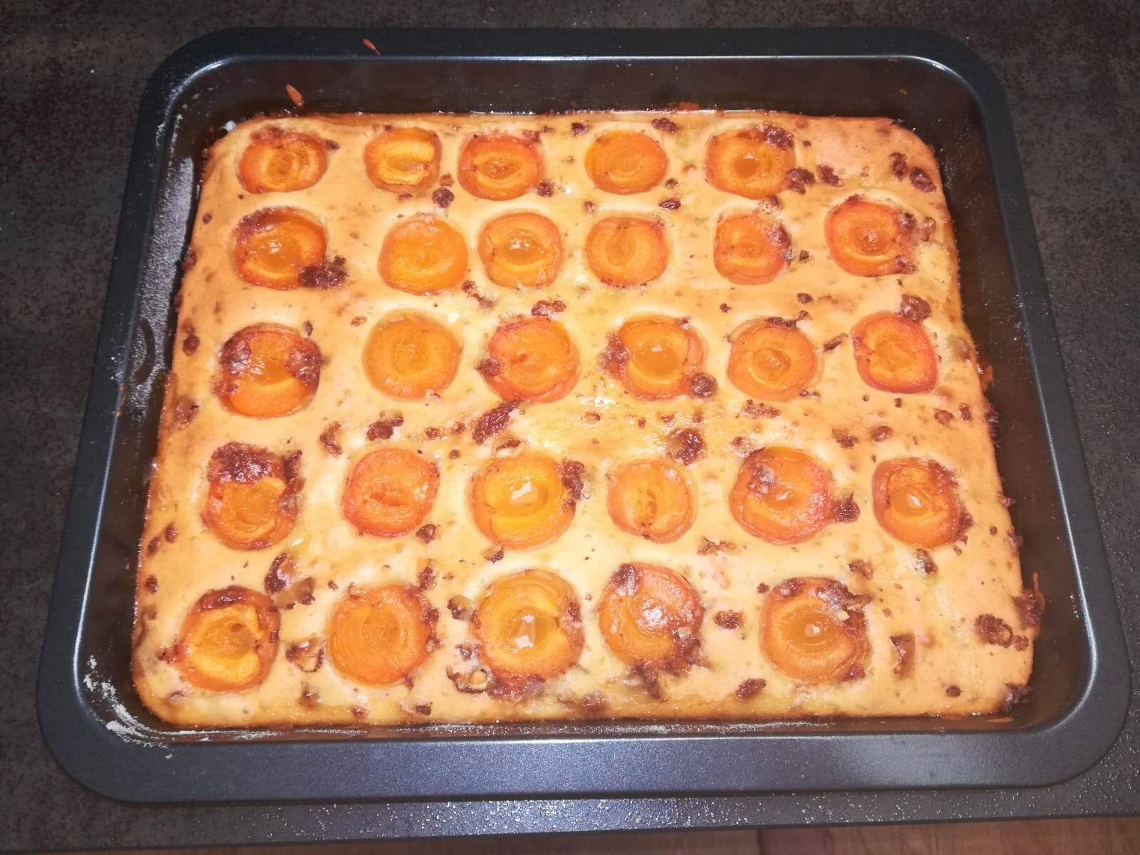 Marillen-Topfen-Kuchen