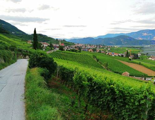 Tramin an der Weinstraße