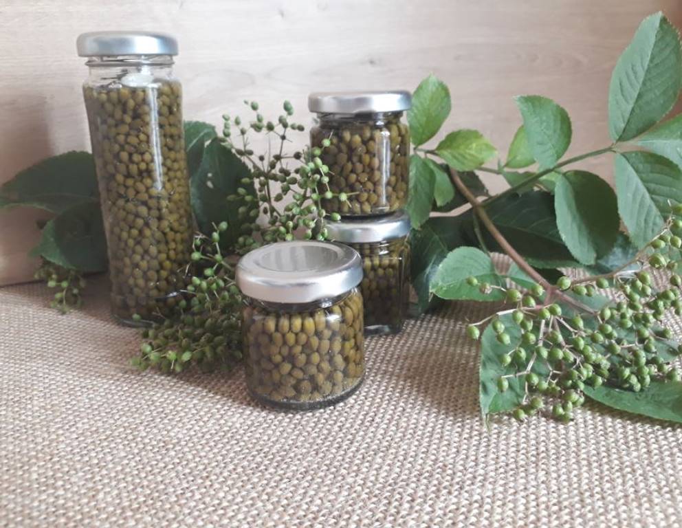 Hexenpfeffer Hexenpfeffer