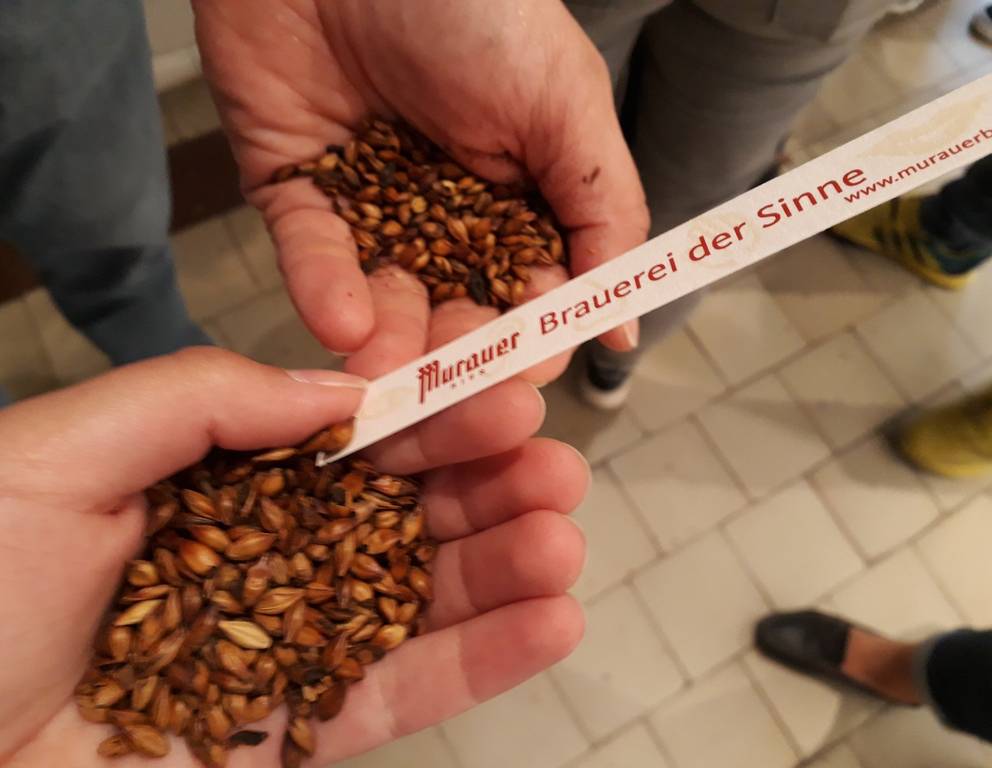 ...und verkosten Rohstoffe! (Hier: Karamellmalz) ...und verkosten Rohstoffe! (Hier: Karamellmalz)