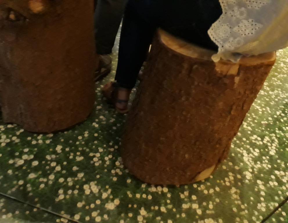 Nimm Platz auf einem Baumstamm... Nimm Platz auf einem Baumstamm...
