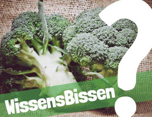 Sie sehen dieses Bild nicht? Klicken Sie mit der rechten Maustaste darauf und wählen Sie „Bilder herunterladen.“