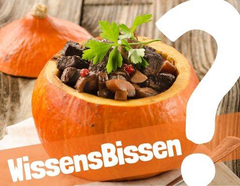 Sie sehen dieses Bild nicht? Klicken Sie mit der rechten Maustaste darauf und wählen Sie „Bilder herunterladen.“