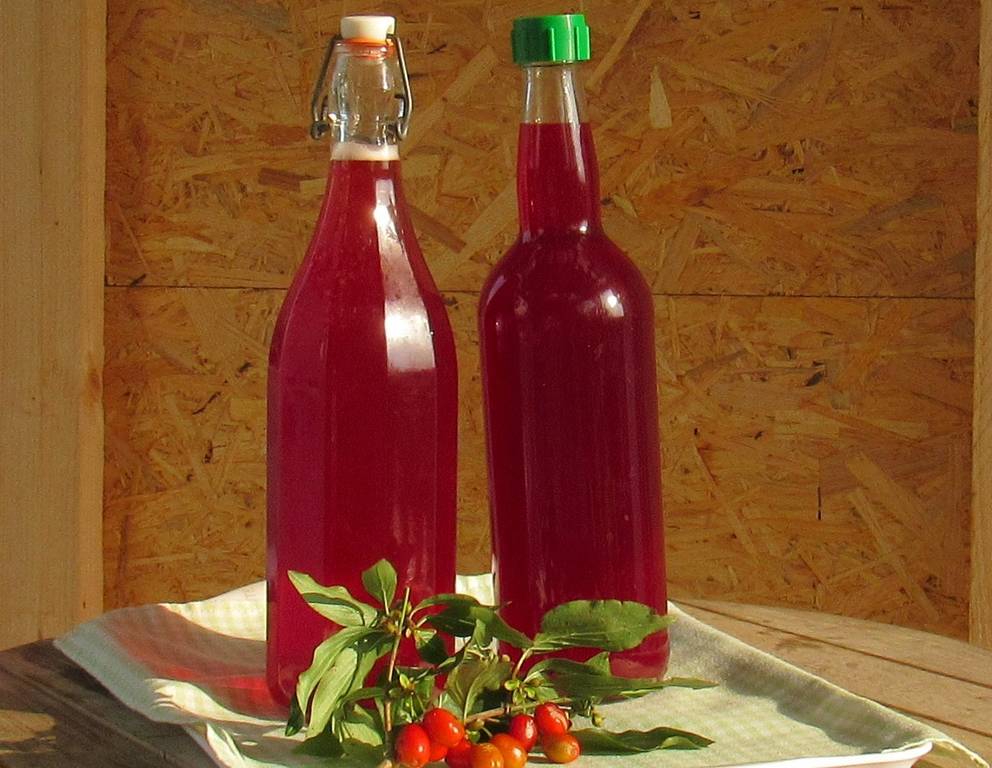 Dirndlsirup aus dem Dampfentsafter Dirndlsirup aus dem Dampfentsafter