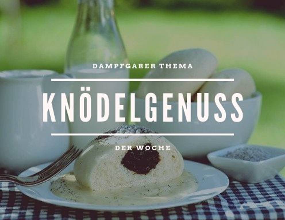 Knödel aus dem Dampfgarer Knödel aus dem Dampfgarer