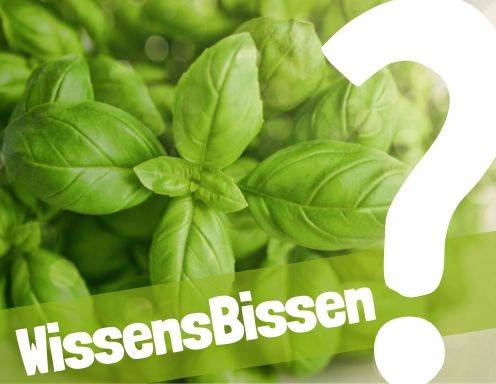 Sie sehen dieses Bild nicht? Klicken Sie mit der rechten Maustaste darauf und wählen Sie „Bilder herunterladen.“
