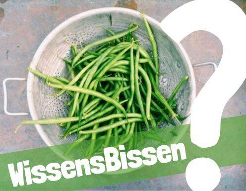 Sie sehen dieses Bild nicht? Klicken Sie mit der rechten Maustaste darauf und wählen Sie „Bilder herunterladen.“