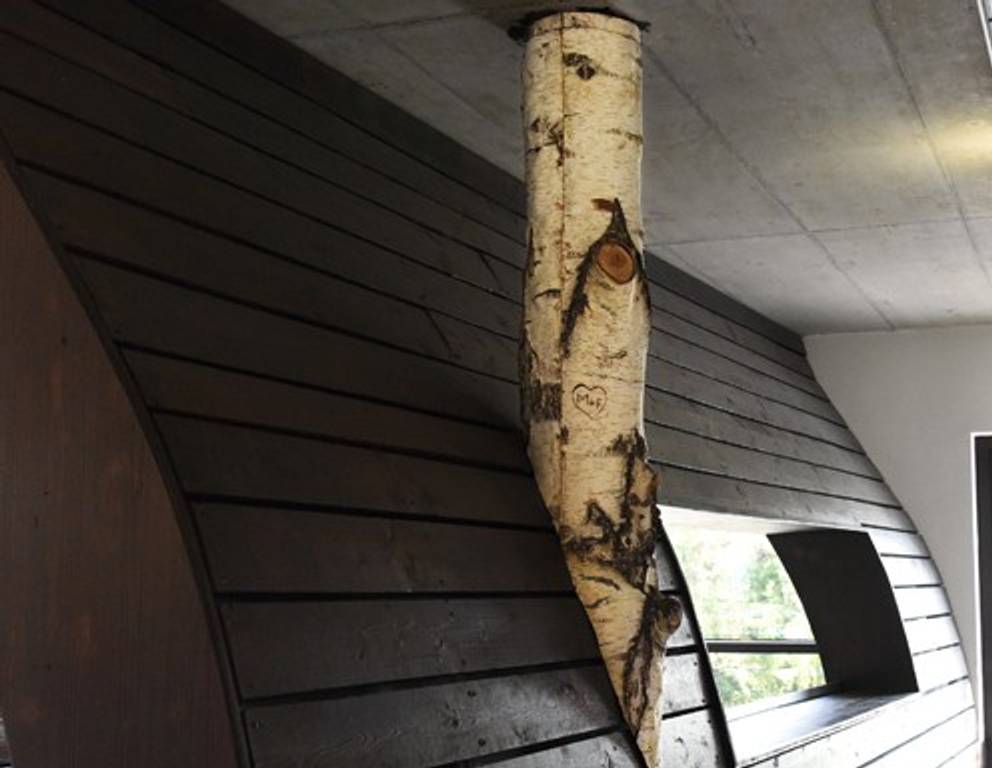 Hier "wachsen" doch tatsächlich BAUMSTÄMME aus Holzwänden und Boden! Hier "wachsen" doch tatsächlich BAUMSTÄMME aus Holzwänden und Boden!