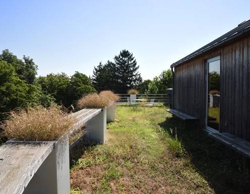 Fürs leibliche Wohl ward ausreichend gesorgt: Zeit für einen kleinen "Verdauungsspaziergang" auf der grünen Dachterrasse!