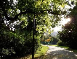 Wunderschöne, herbstliche Morgenstimmung auf meinem Weg Richtung Büro...