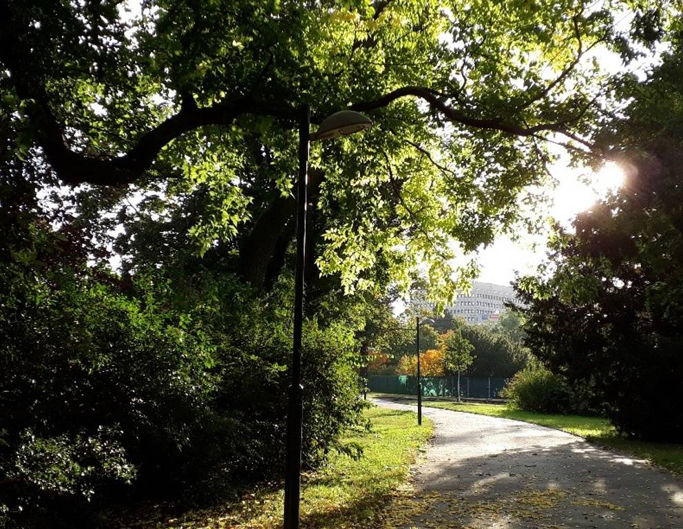 Wunderschöne, herbstliche Morgenstimmung auf meinem Weg Richtung Büro...