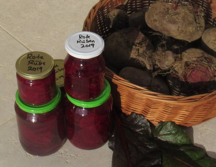 Rote Rüben - Rote Beete In Essig Einlegen Rote Rüben - Rote Beete In Essig Einlegen